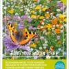 Buzzy Friendly Flowers Mix Vlinders 50 M2 -PlantenPuur Verkoopwinkel 8711117850922 1