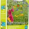 Buzzy Friendly Flowers Bloemenzaadmengsel Eetbare Bloemen 50m2 -PlantenPuur Verkoopwinkel 8711117850939 1