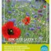 Buzzy Friendly Flowers Mix Inheems 50 M2 1 Buzzy Friendly Flowers Mix Inheems 50 M2 -PlantenPuur Verkoopwinkel 8711117850946 1