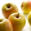 Handappel (Malus Domestica 'Golden Delicious') 2 Handappel (Malus Domestica 'Golden Delicious') -PlantenPuur Verkoopwinkel 8717263003922 2