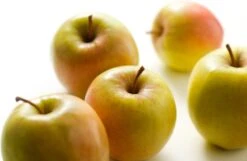 Handappel (Malus Domestica 'Golden Delicious')