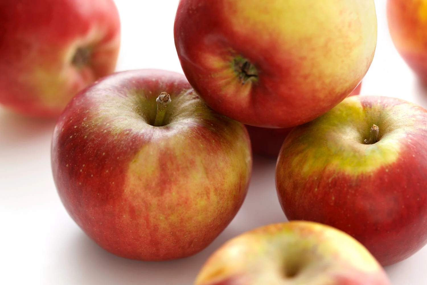 Handappel (Malus Domestica 'Ecolette') 3 Handappel (Malus Domestica 'Ecolette')