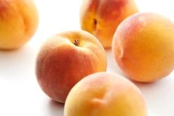 Perzik (Prunus Persica 'Peregrine')