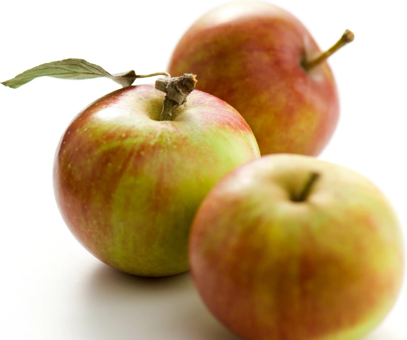 Hand- En Moesappel (Malus Domestica 'Cox's Orange Pippin') 3 Hand- En Moesappel (Malus Domestica 'Cox's Orange Pippin')