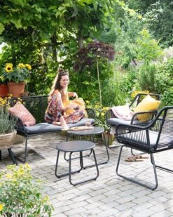 Perzische Slaapboom (Albizia Julibrissin) D 34 H 100 Cm