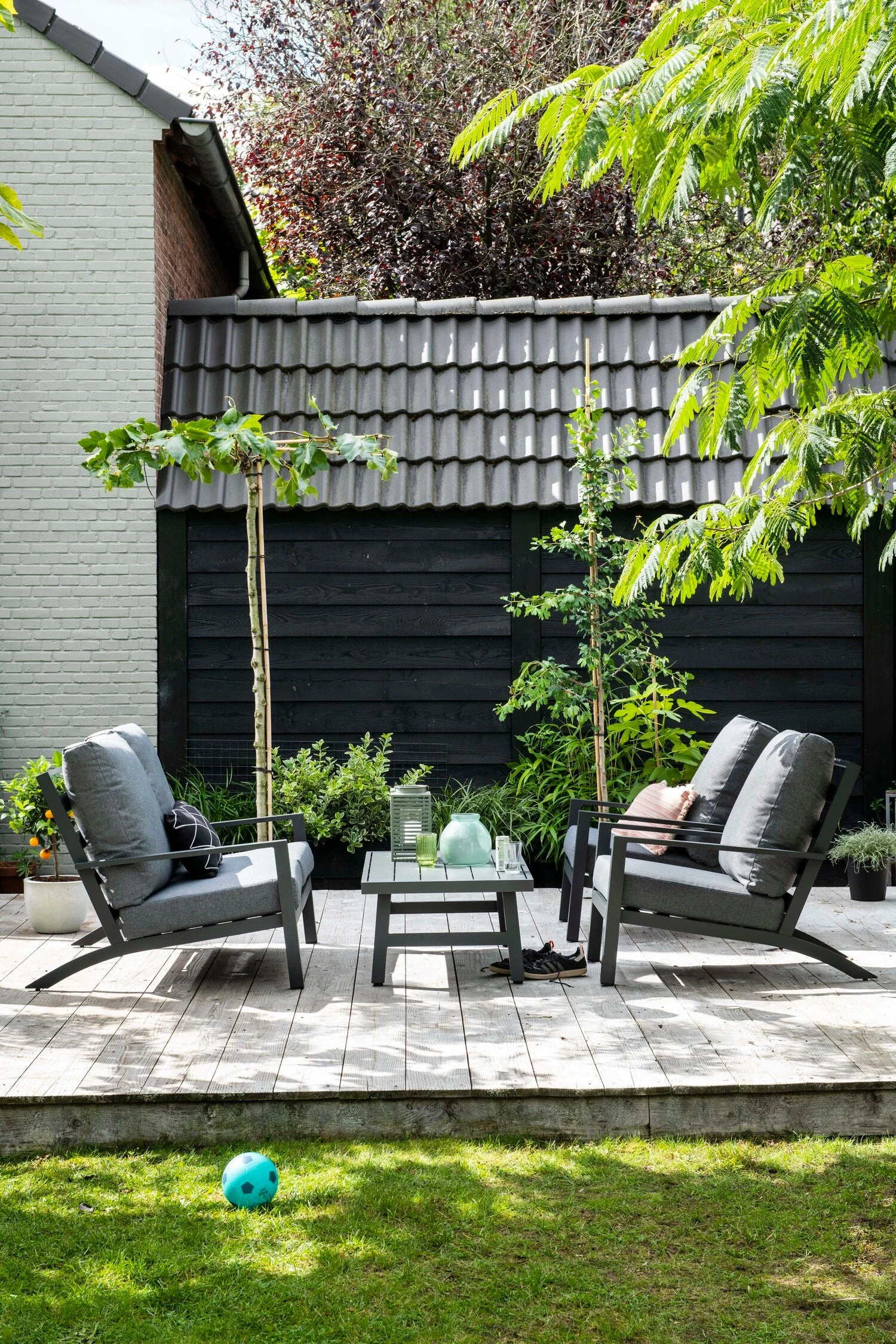 Dakplataan (Platanus Acerifolia) D 40 H 240 Cm 4 Dakplataan (Platanus Acerifolia) D 40 H 240 Cm - Afbeelding 2