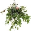 Lipstickplant (Aeschynanthus Marmoratus) D 15 H 25 Cm -PlantenPuur Verkoopwinkel 8717263290537