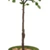 Biologische Appelboom (Malus Domestica 'Elstar') D 23 H 80 Cm -PlantenPuur Verkoopwinkel 8717263587422