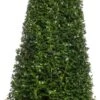 Buxus Kegelvorm (Buxus Sempervirens) D 23 H 95 Cm 1 Buxus Kegelvorm (Buxus Sempervirens) D 23 H 95 Cm -PlantenPuur Verkoopwinkel 8717263657576 1