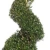 Buxus Spiraal (Buxus Sempervirens) D 31 H 120 Cm -PlantenPuur Verkoopwinkel 8717263657668 1