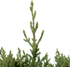 Voorkant -PlantenPuur Verkoopwinkel 8717263664574 2