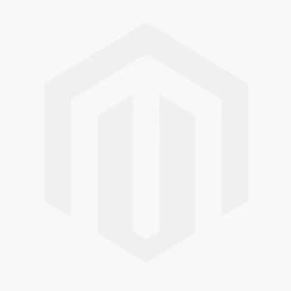 Bolhortensia (Hydrangea Arborescens 'Incrediball') D 19 H 30 Cm 4 Bolhortensia (Hydrangea Arborescens 'Incrediball') D 19 H 30 Cm - Afbeelding 2