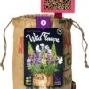 Baza Wild Flowers Biologische Gemengde Wildbloemen Paars Met Insectenhotel -PlantenPuur Verkoopwinkel 8726200275230