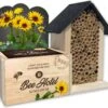 Baza Bee Hotel Biologische Zonnebloem (Helianthus) Met Insectenhotel -PlantenPuur Verkoopwinkel 8726200276411