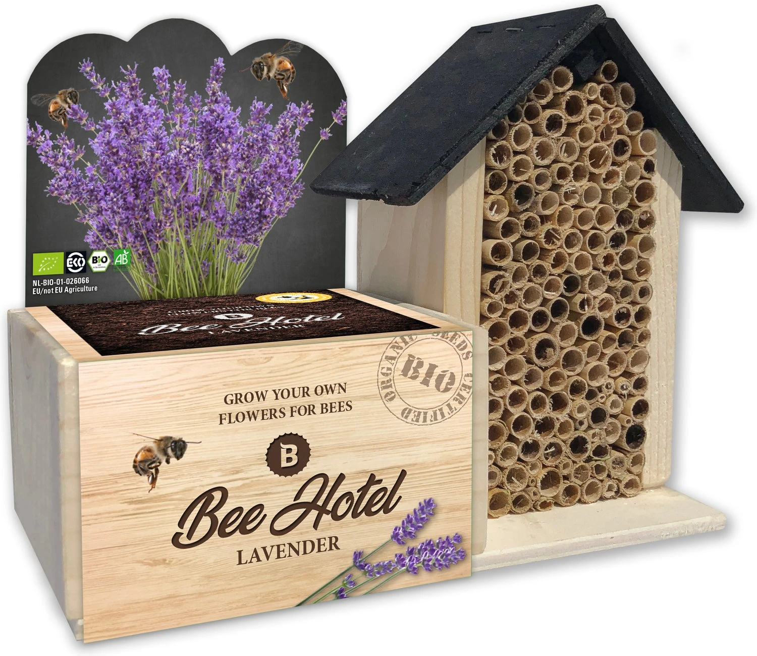 Baza Bee Hotel Biologische Lavendel (Lavandula) Met Insectenhotel 3 Baza Bee Hotel Biologische Lavendel (Lavandula) Met Insectenhotel